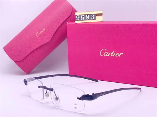 Cartier Sunglass A 013
